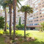Tramuntana 12-05 *